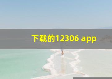 下载的12306 app